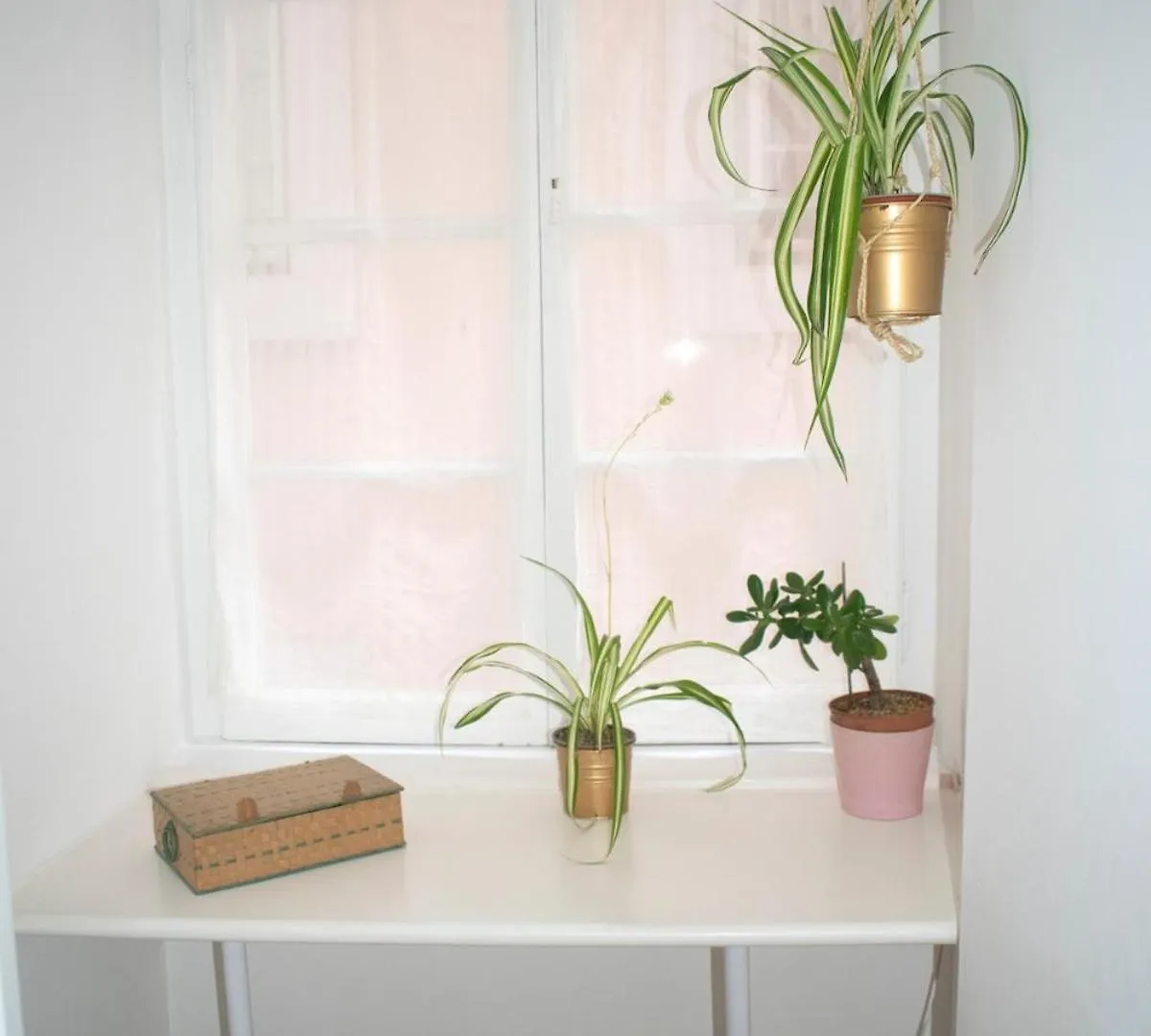 Alfama 51 Duplex Apartment In The Heart Of Alfama Lisbon